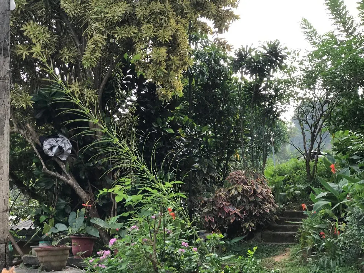 Heaven Breeze Otel Kandy