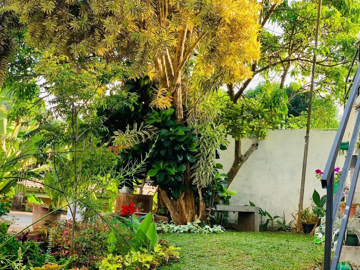 Heaven Breeze Otel Kandy Sri Lanka